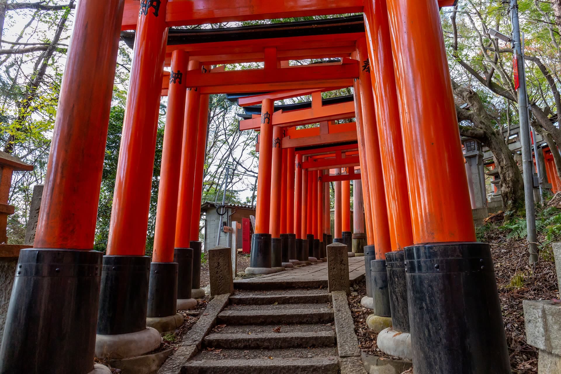 Rows of vermilion torii gates over stone steps at Fushimi Inari Taisha